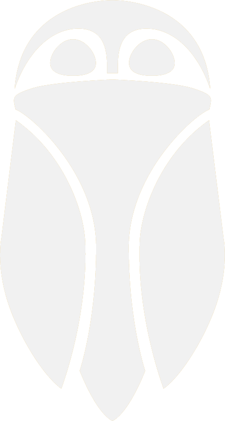 小金蝉债权